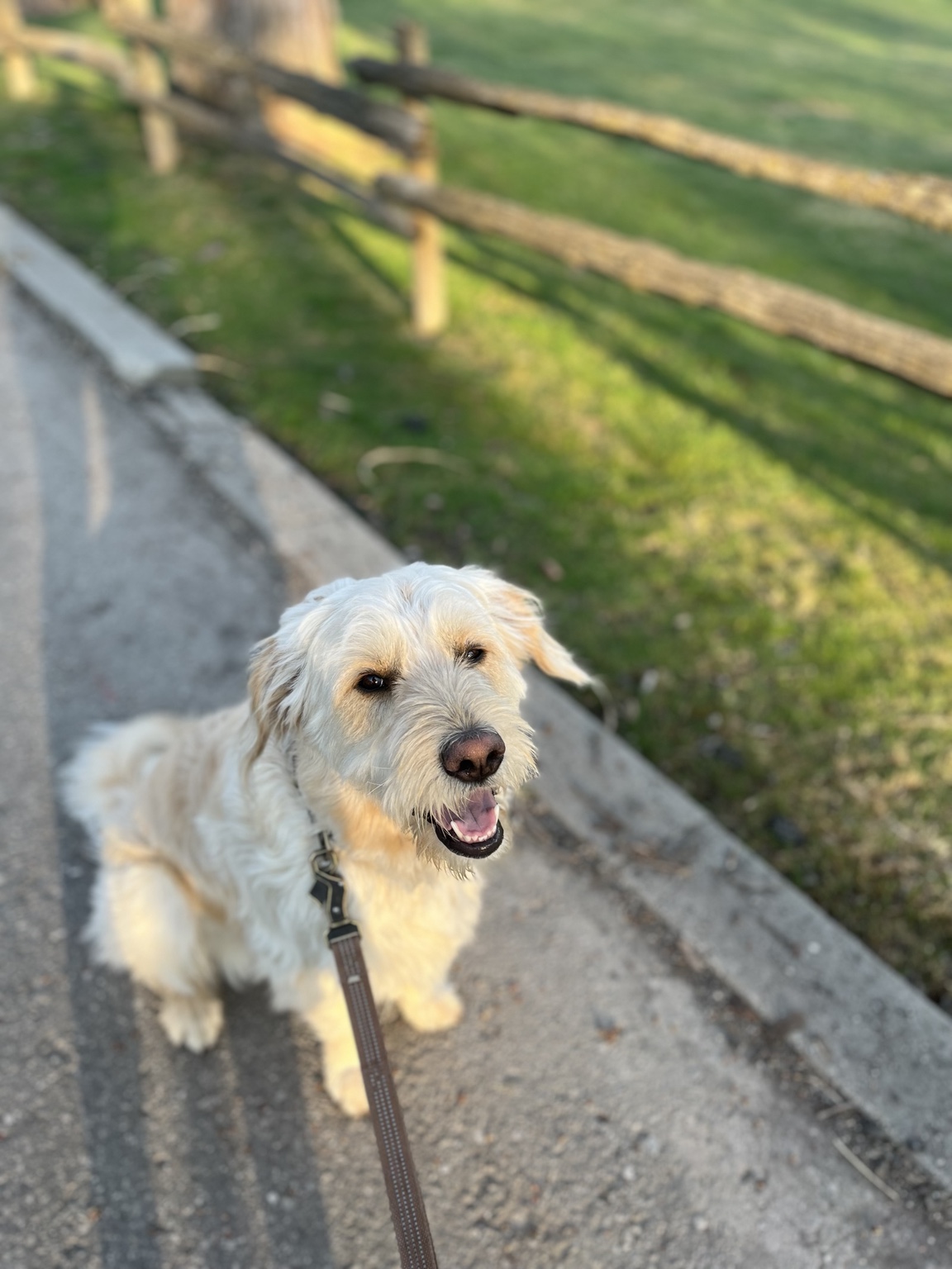 Hairold smiling on a paved walk in the evening